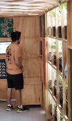 Dia dos povos indígenas em são paulo