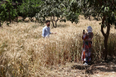 Egyptian non-profit group revives culinary heritage through farm-to-fork tours
