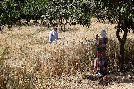 Egyptian non-profit group revives culinary heritage through farm-to-fork tours