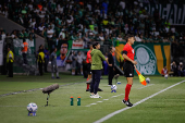 Palmeiras x Ceará - Copa do Brasil 2025
