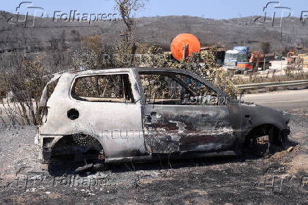Aftermath of a wildfire in Volissos on the island of Chios