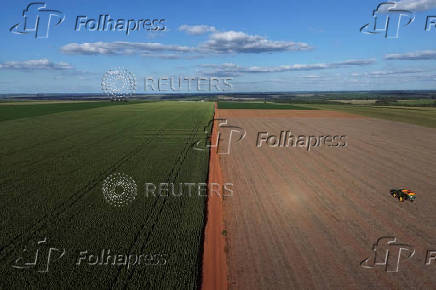 Soybean harvest in Paraguay
