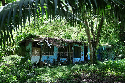 A dilapidated home stands in Angaur, Palau