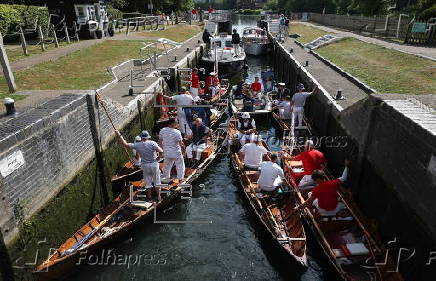 Annual swan upping ceremony along the River Thames
