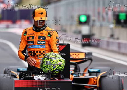 Formula One Hungarian Grand Prix - Practice and Qualifying