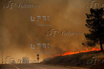 Wildfires in Portugal