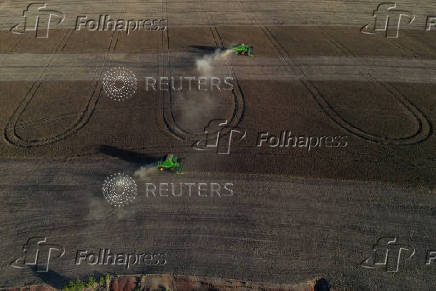 Soybean harvest in Rio Grande do Sul state, Brazil