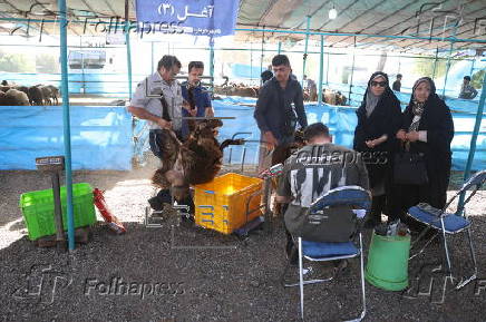 Eid al-Adha celebration in Iran