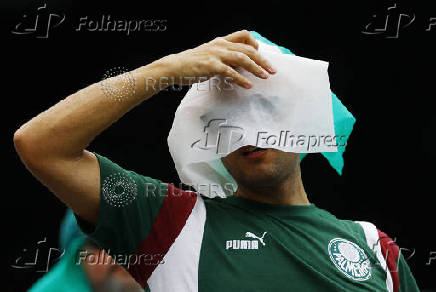 FIFA Club World Cup - Group A - Palmeiras v Al Ahly