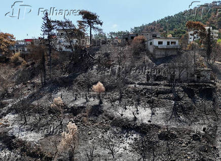 Aftermath of wildfires in Latakia countryside