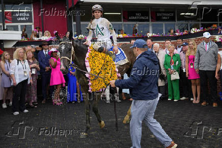 Horse Racing: Black-Eyed Susan