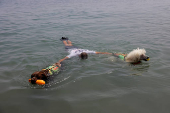 Nilo, a Standard Poodle dog, uncommonly trained to save lives at Las Lindes beach as the latest member added to a dog rescue team, in Torrox