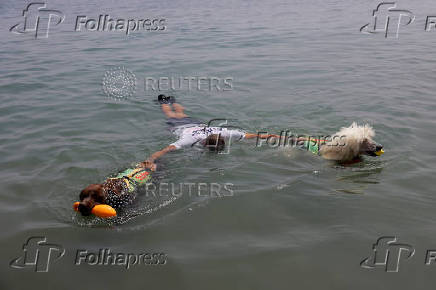 Nilo, a Standard Poodle dog, uncommonly trained to save lives at Las Lindes beach as the latest member added to a dog rescue team, in Torrox