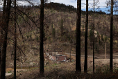 A year after the South Fork and Salt Fires ravaged a New Mexico Mountain village