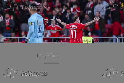 Liga Portugal - Benfica vs Farense