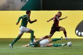 SÃO PAULO (SP), 25.05.2025 - Futebol / Palmeiras x Flamengo