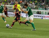 Partida entre Palmeiras e Flamengo
