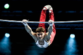 2025 Men's and Women's European Artistic Gymnastic Championships