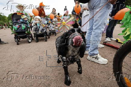International Children's Day in St. Petersburg