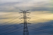 Renovação do contrato de concessão da Enel