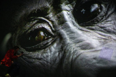 Press preview of the immersive experience 'Our Story with David Attenborough' at the Natural History Museum, in London