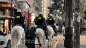 Polícia cavalaria no centro de são paulo
