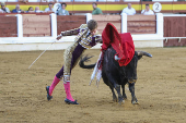 Corrida de toros mixta en Mérida