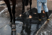 Horse racing - Kentucky Derby 2025