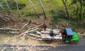 Timber exploitation in Nigeria's Kwara State