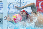World Aquatics Championships