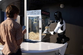 Tesla Diner opens in Los Angeles