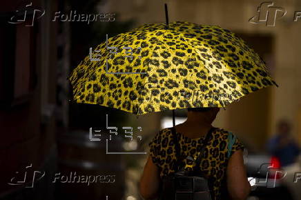 78th Locarno Film Festival