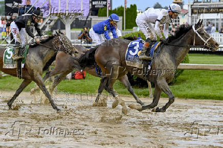Horse Racing: Black-Eyed Susan