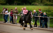 Annual horse fair in Appleby-in-Westmorland