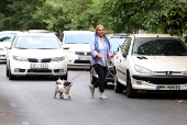 Iran expands dog walking ban in Tehran