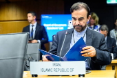 IAEA board of governors meets in Vienna