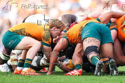International Rugby Union - Australia vs Fiji