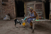 Woman feeds pet kid after chores along Chenab River in Multan