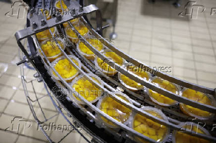 Trump tariffs worry Greek peach producers