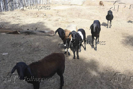 Agropecuaria