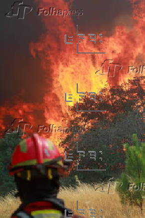 Forest fire at Fornos de Algodres
