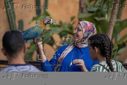 Tourists vist Morocco's Chefchaouen