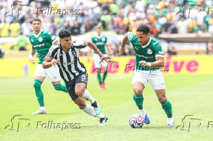 Partida entre Palmeiras e Botafogo no Mundial de Clubes da fifa
