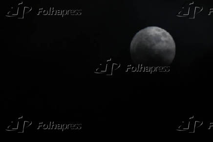 Lua do Veado
