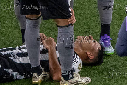 partida entre botafogo e ldu