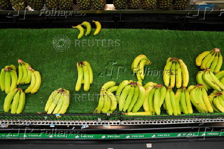 Chiquita Panama announces mass firing of banana workers after strike