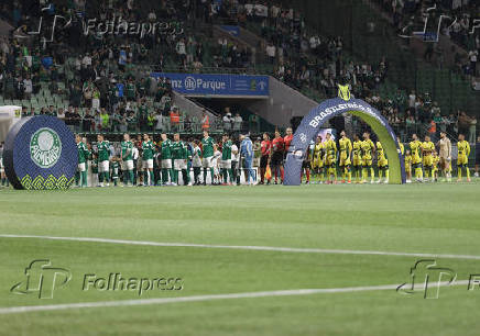 Campeonato Brasileiro Série A - Palmeiras e Mirassol