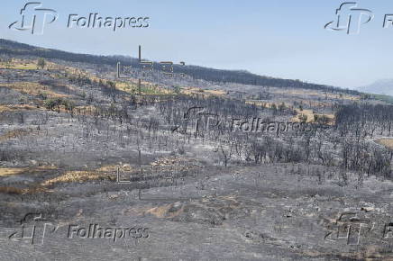 Wildfires break out in Morocco