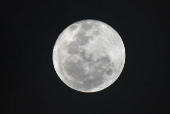 Lua Rosa em Fortaleza