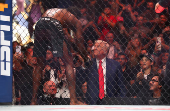MMA: UFC 316 - Luque vs Holland